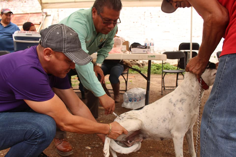 Primera Jornada de Bienestar Animal se realiza exitosamente