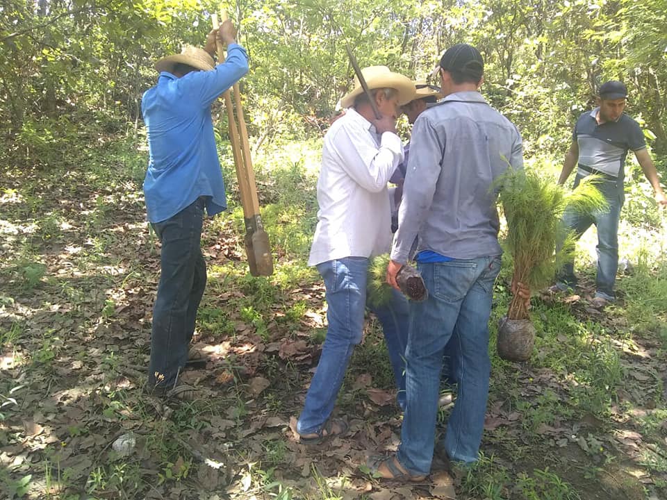 Jornada Anual de Forestación continua en Las Vinata y la Cienega