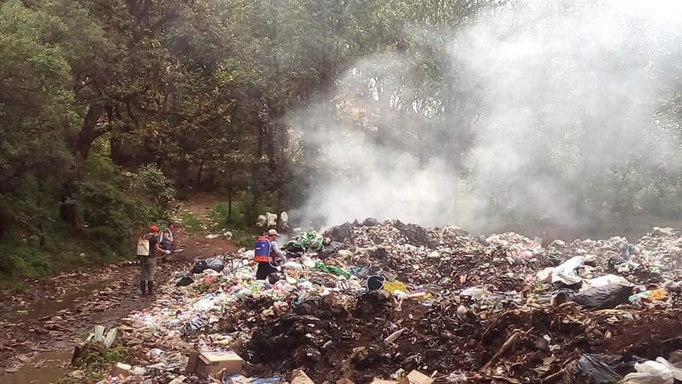 Se lleva a cabo la Primera Jornada de Fumigación por parte de la Dirección de Ecología