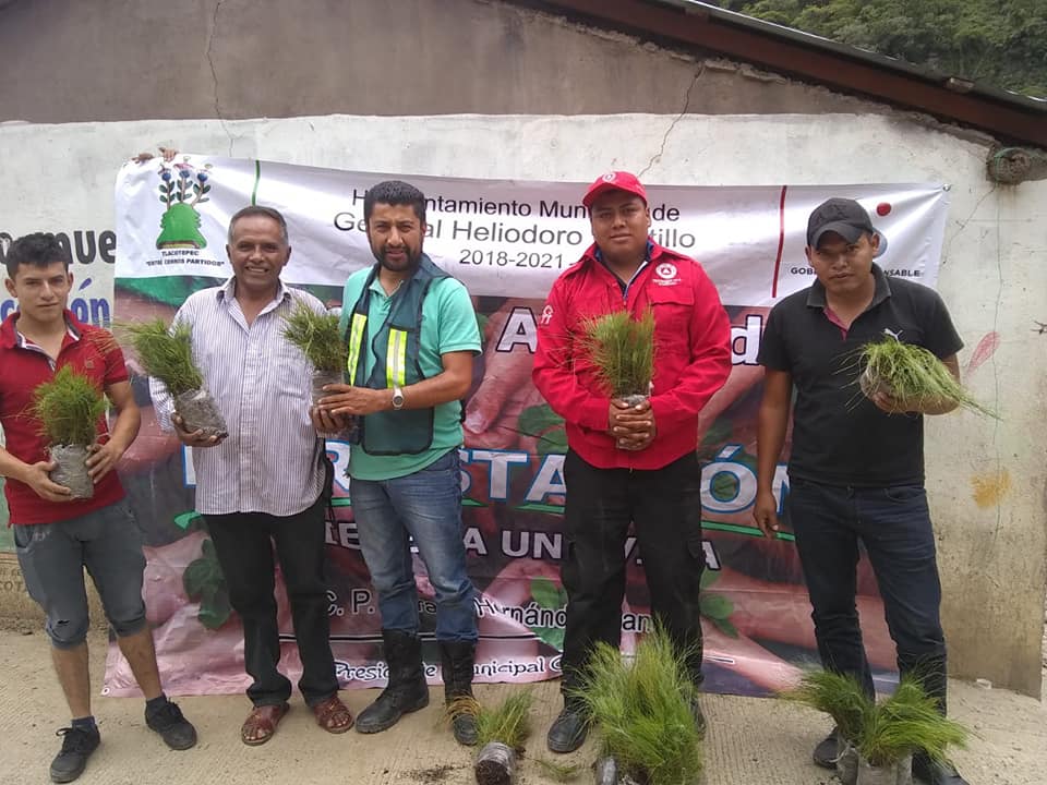 Entrega el Ayuntamiento más de 2000 árboles para reforestar